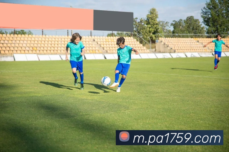 PA视讯平台生态图